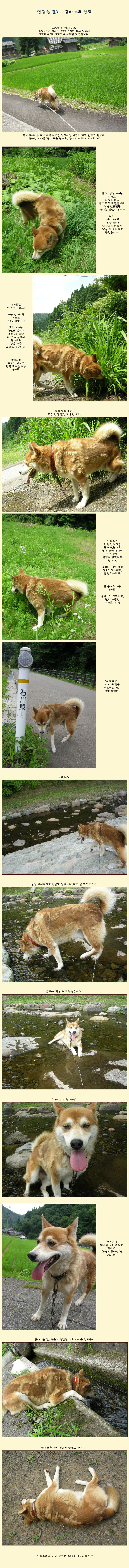 [�Ϻ���] ���Ͻ� �ϱ� - ��Ÿ�ο� ��å